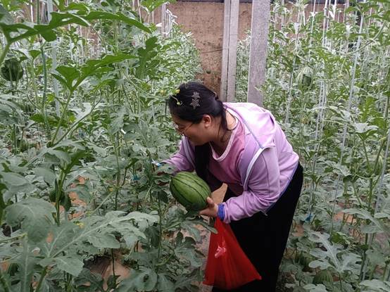 bbgames官方平台登入