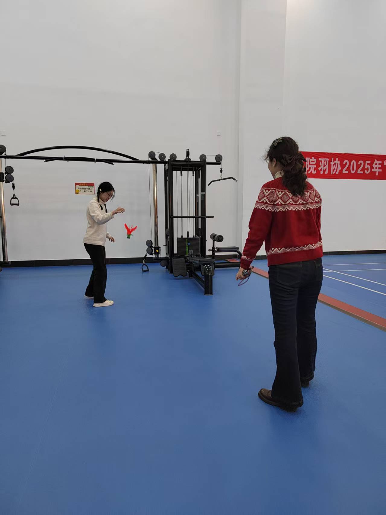 bbgames官方平台登入