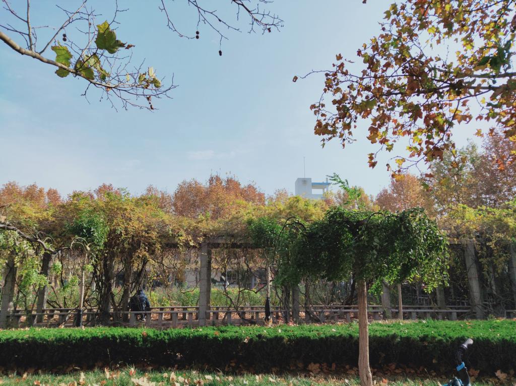 bbgames官方平台登入