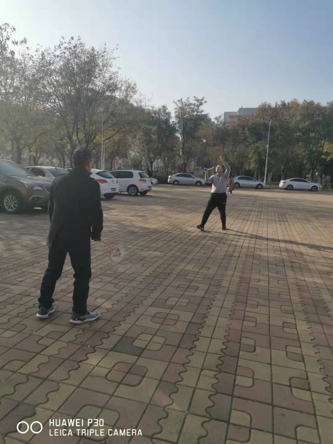 bbgames官方平台登入