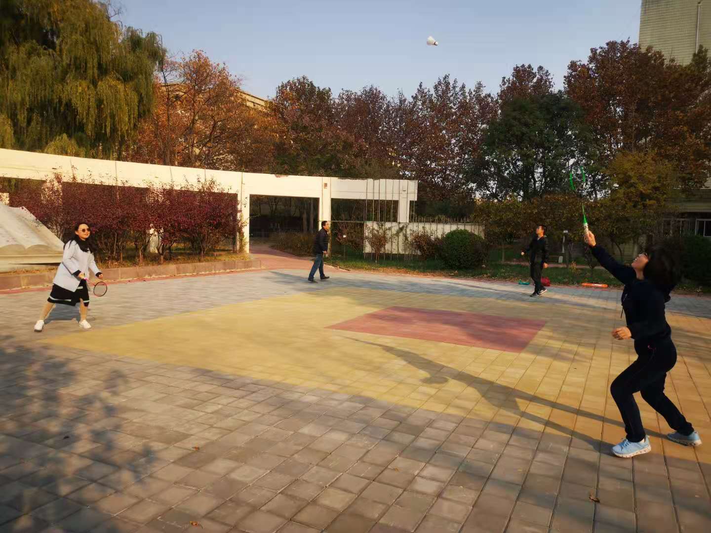 bbgames官方平台登入