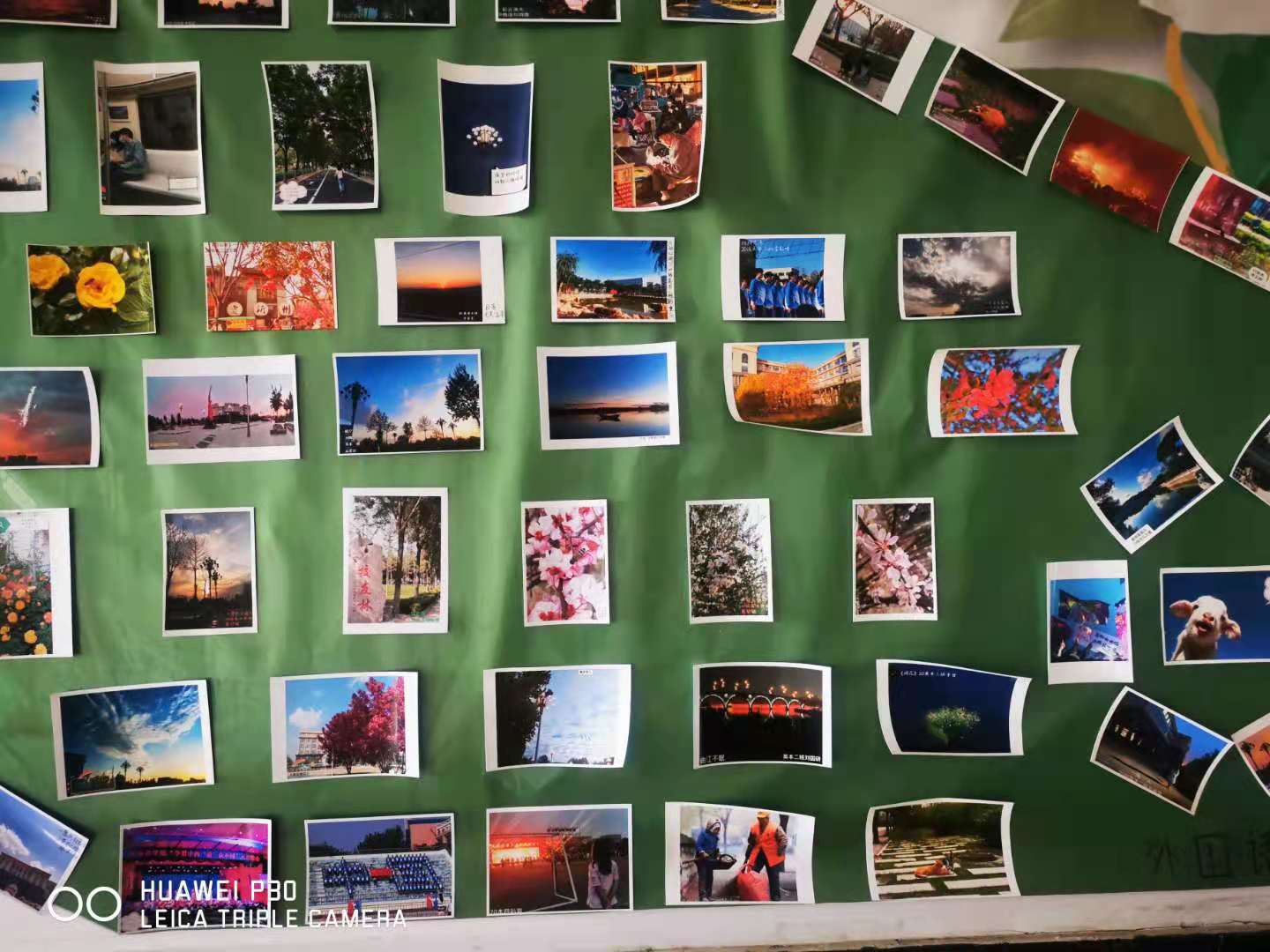 bbgames官方平台登入