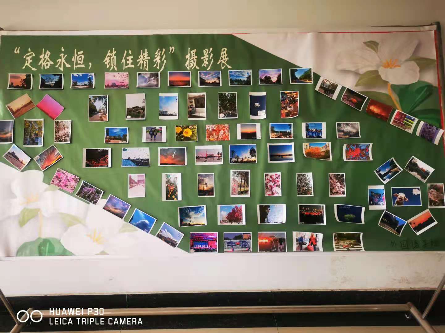 bbgames官方平台登入