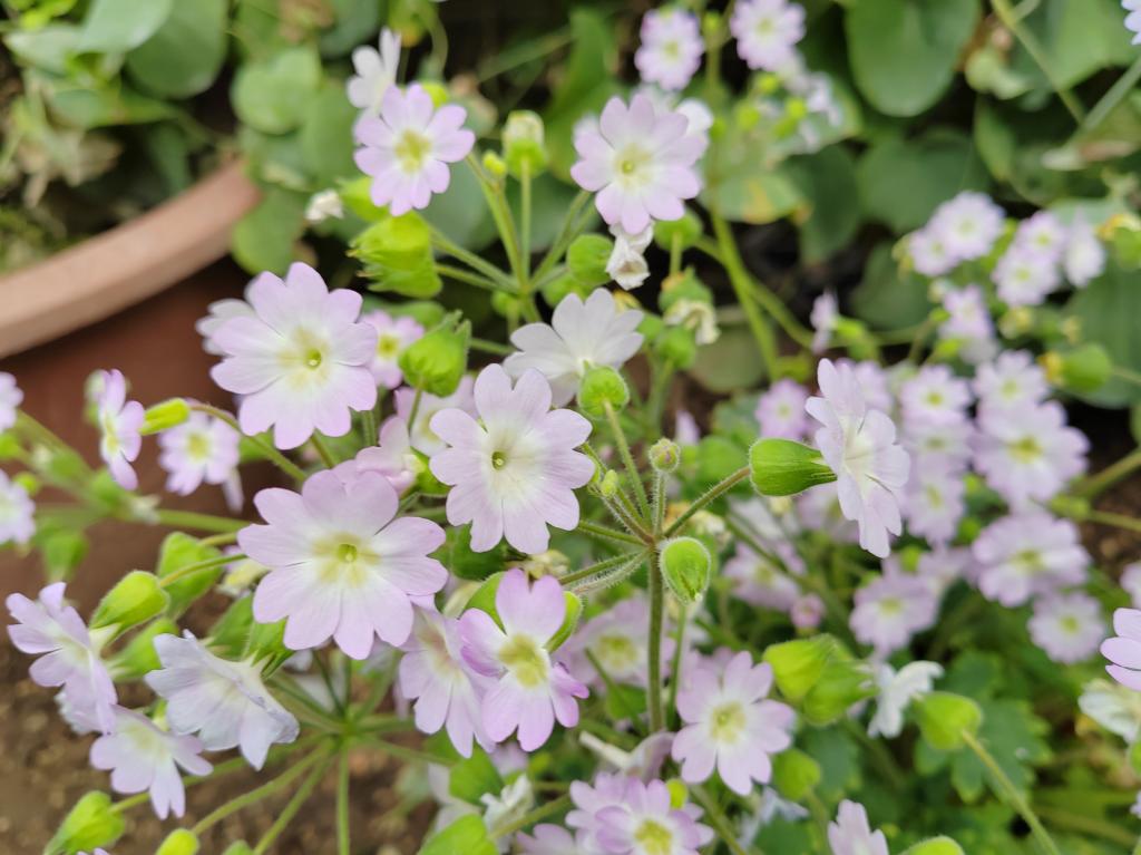 bbgames官方平台登入