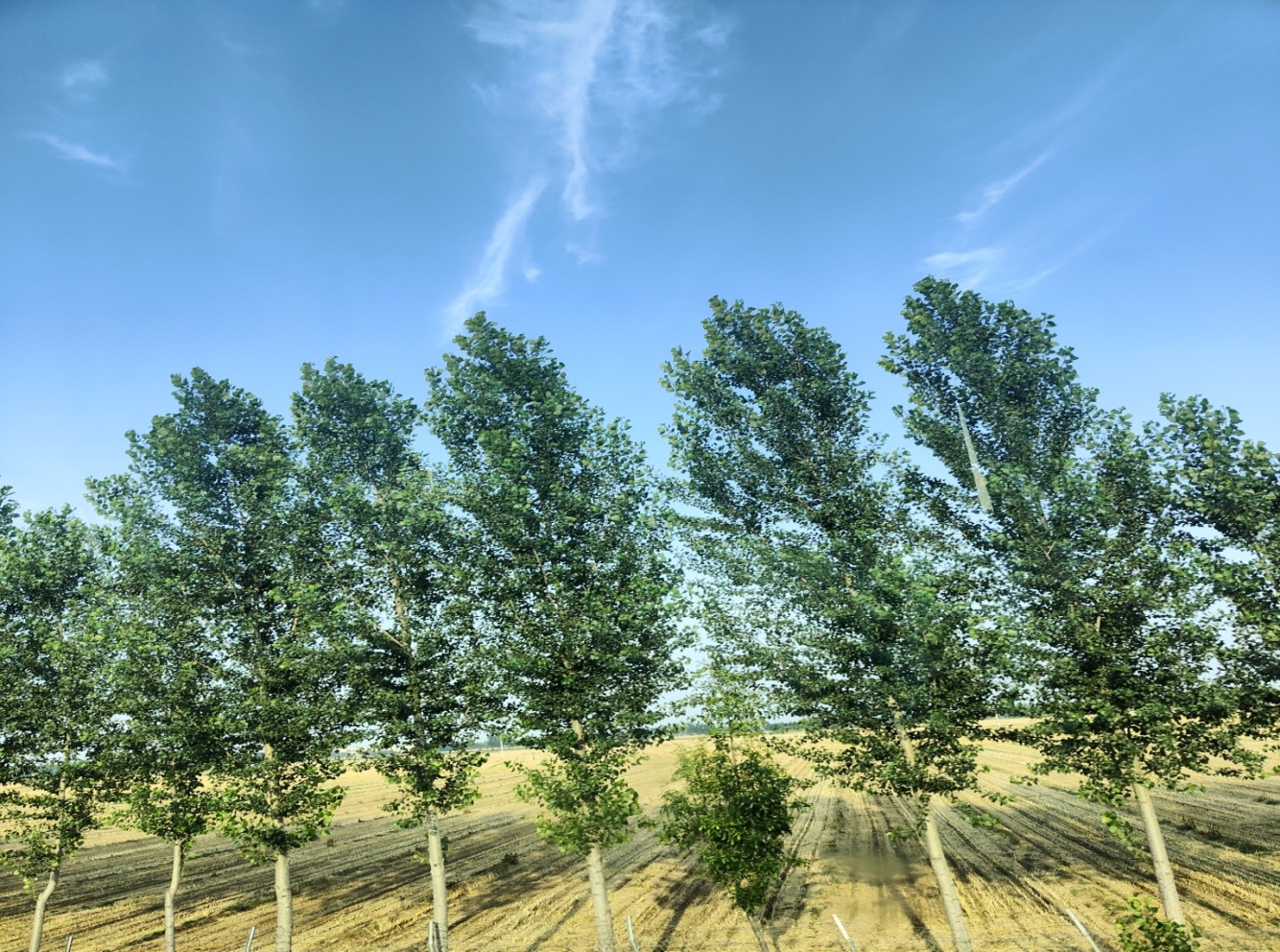 bbgames官方平台登入