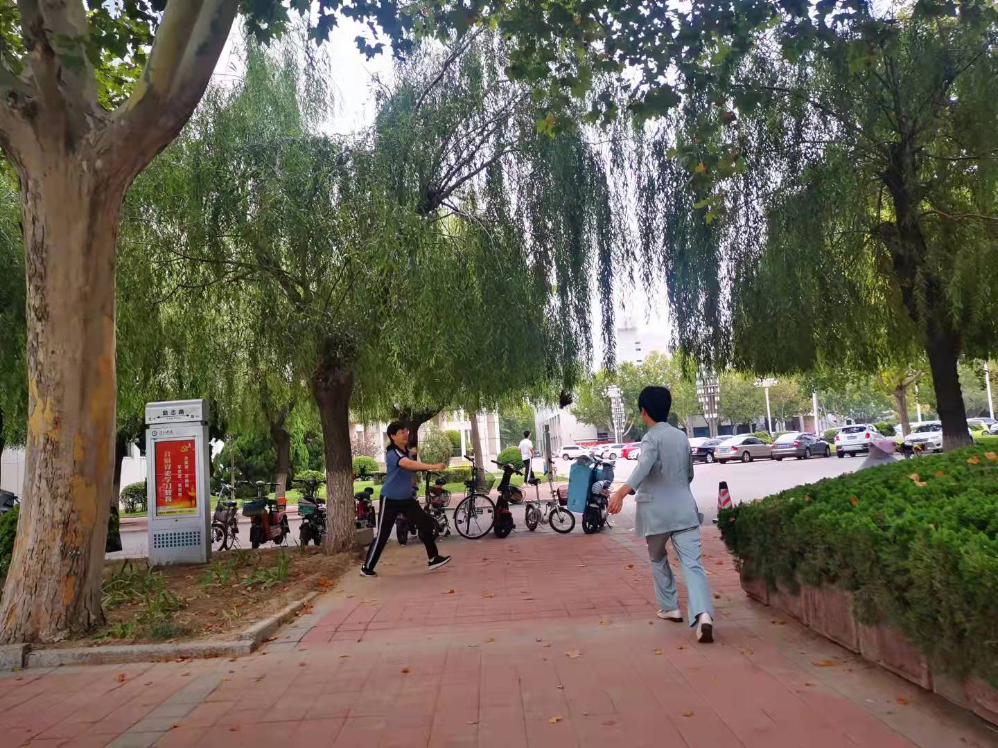 bbgames官方平台登入