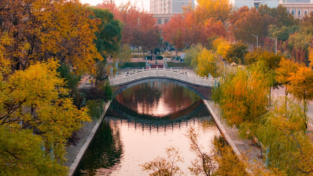 bbgames官方平台登入