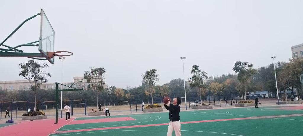 bbgames官方平台登入