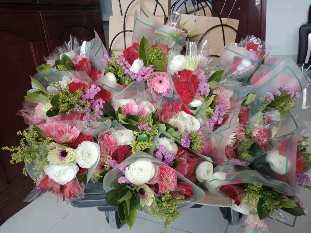 bbgames官方平台登入