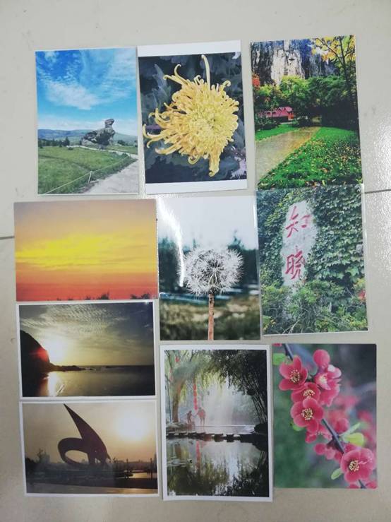 bbgames官方平台登入